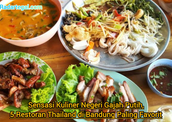 Sensasi Kuliner Negeri Gajah Putih, 5 Restoran Thailand di Bandung Paling Favorit