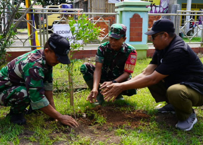 Peringati Hari Pohon Sedunia, 15 Ribu Bibit Ditanam Warga Kalisoka Kabupaten Tegal 