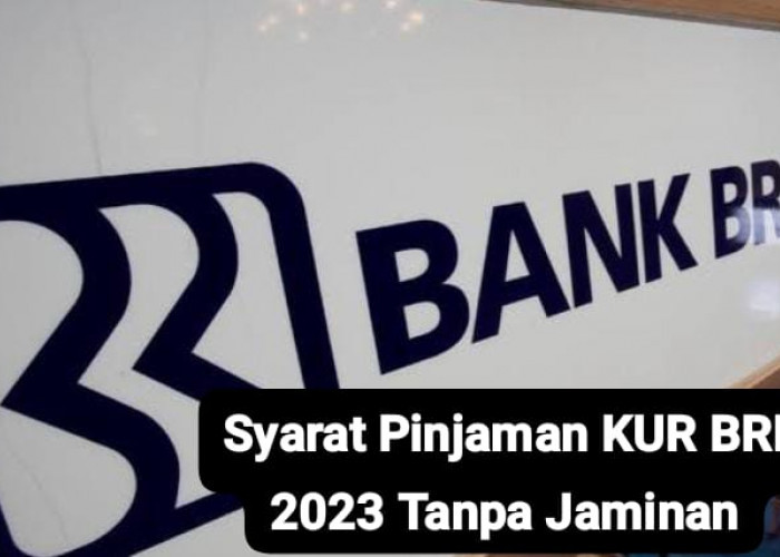 Syarat Pinjaman KUR BRI 2024 Tanpa Jaminan untuk Plafon Sampai dengan 100 Juta