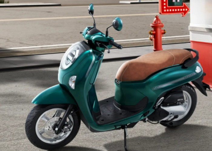 Honda Scoopy 2026 Terbaru: Cek Harga OTR, Pilihan Warna, dan Spesifikasi Lengkap!