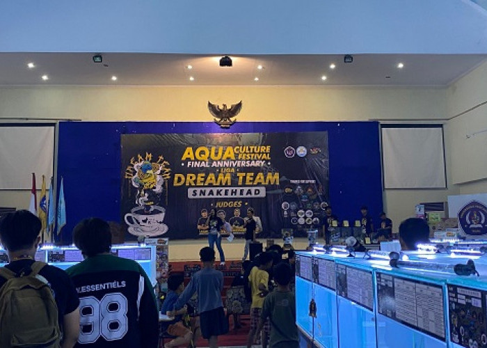 Mahasiswa Akuakultur UPS Tegal Gelar Exhibition Liga Dream Team Snakehead, Wadah Penghobi Hewan Aquatic