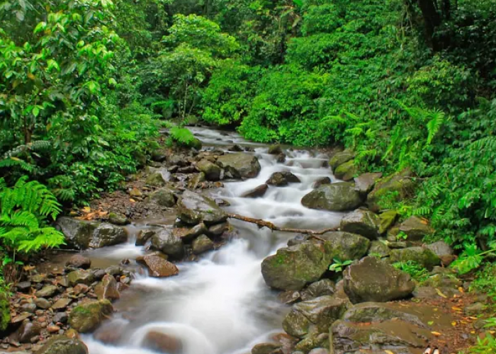 10 Wisata Berbahaya di Semarang yang Tidak Cocok untuk Anak-anak, Waspada Medannya Ekstrem