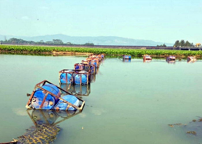 Waduk Mrica Banjarnegara Kritis, Sedimentasi 90 Persen Ancam Irigasi Petani 