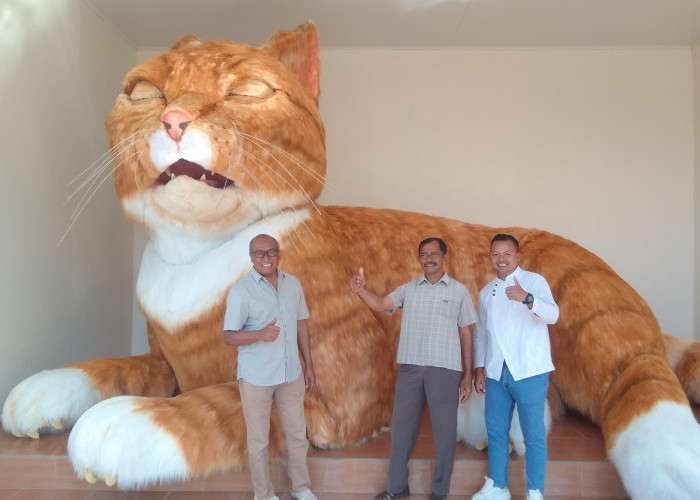 Ikon Baru D'Las Purbalingga, Maskot Kucing Oyen Siap Manjakan Wisatawan
