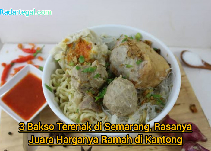 3 Bakso Terenak di Semarang, Rasanya Juara Harganya Ramah di Kantong