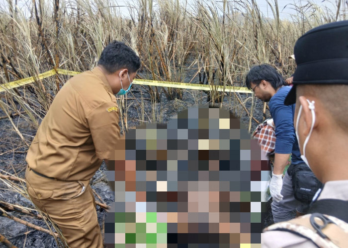 Lansia di Tegal Ditemukan Meninggal di Sawah dengan Luka Bakar