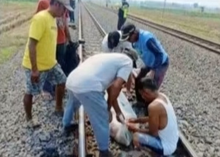 Tertemper Kereta Api, Warga di Pemalang Terpental Hingga 50 Meter