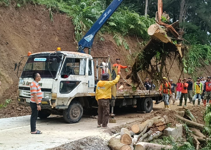 Diguyur Hujan, 5 Titik di Jalan Tambakserang-Bantarkawung Brebes Longsor