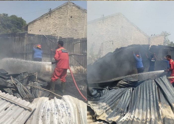 Sehari 2 Kebakaran di Tegal: Gudang Kasur & Bengkel Kayu Ludes