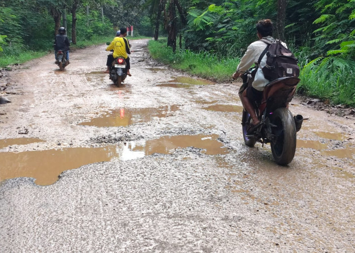 Rusak Parah! Jalan Margasari–Pagerbarang Kabupaten Tegal Akan Diperbaiki Tahun Ini 