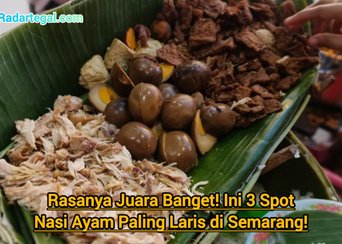 Rasanya Juara Banget! 3 Spot Nasi Ayam Paling Laris di Semarang