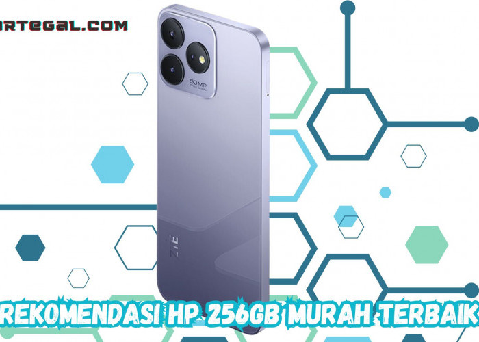 Layak Dipertimbangkan! Rekomendasi HP 256gb Murah Terbaik 2024