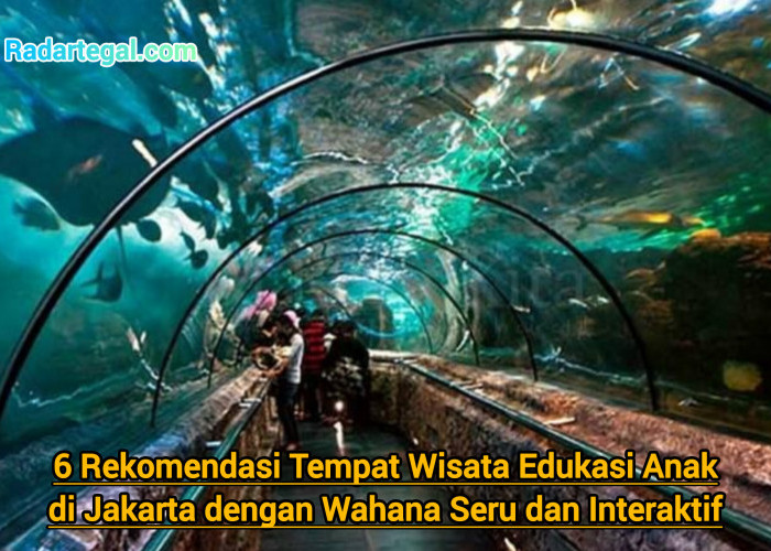 6 Rekomendasi Tempat Wisata Edukasi Anak di Jakarta dengan Wahana Seru dan Interaktif