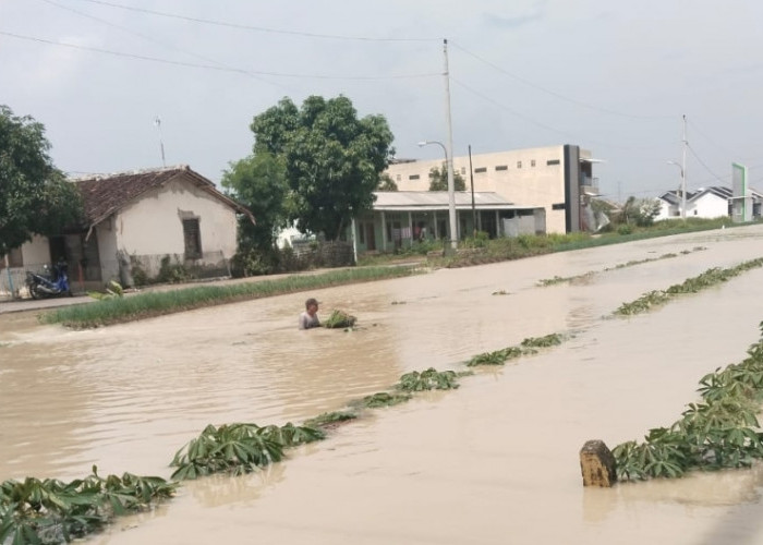 35 Hektar Lahan Bawang Merah di Brebes Terendam Banjir