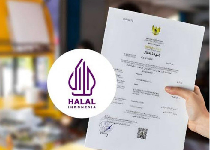 Heboh Beer dan Tuyul Dapat Sertifikat Halal, BPJPH Singgung Jalur Self Declare dan Reguler  