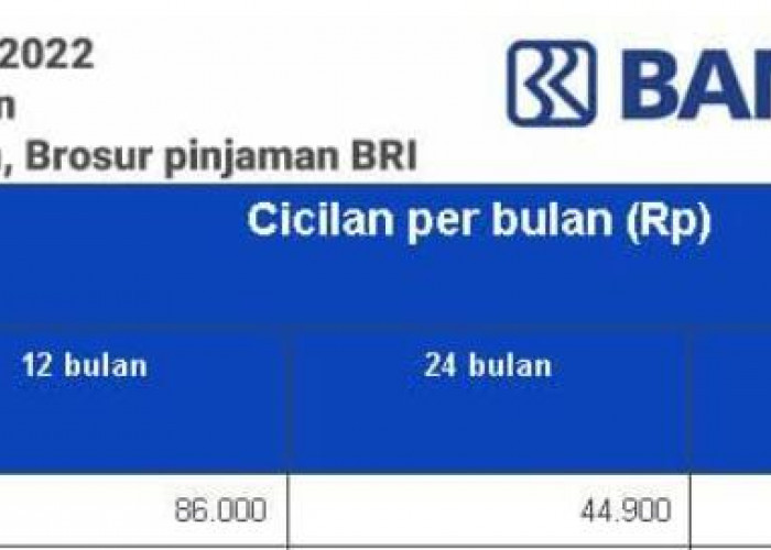 Intip Pinjaman KUR BRI 2023 Capai Rp500 Juta Tanpa Jaminan, Ini Syarat dan Bunganya!