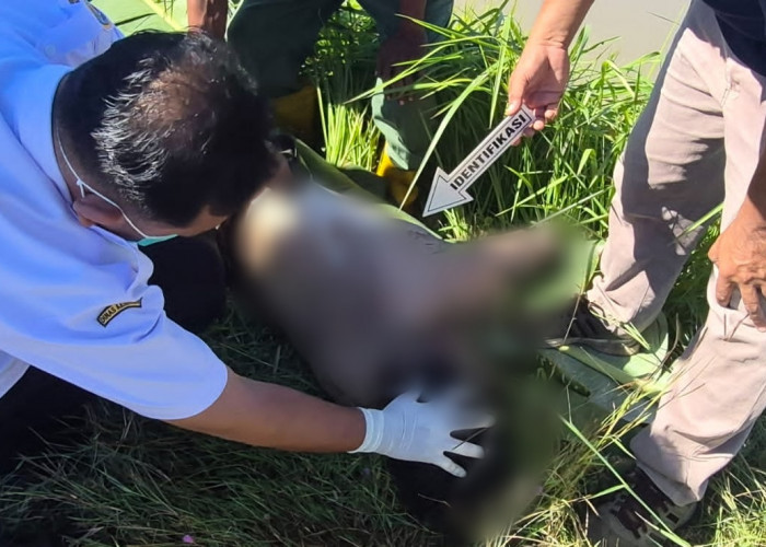 Geger! Penemuan Jenazah Pria Muda Bertato di Brebes di Irigasi