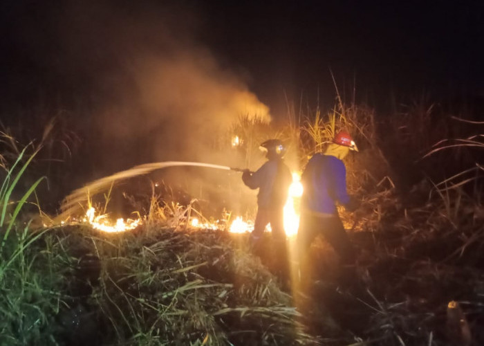 Hingga Agustus, 78 Musibah Kebakaran Terjadi di Brebes