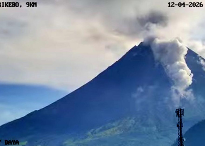 Gunung Merapi Siaga, Sepekan 7 Kali Terjadi Awan Panas Guguran