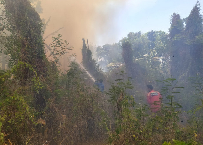 Lahan Kering Terbakar di Lebaksiu Tegal, Dua Pabrik Nyaris Terpapar Api