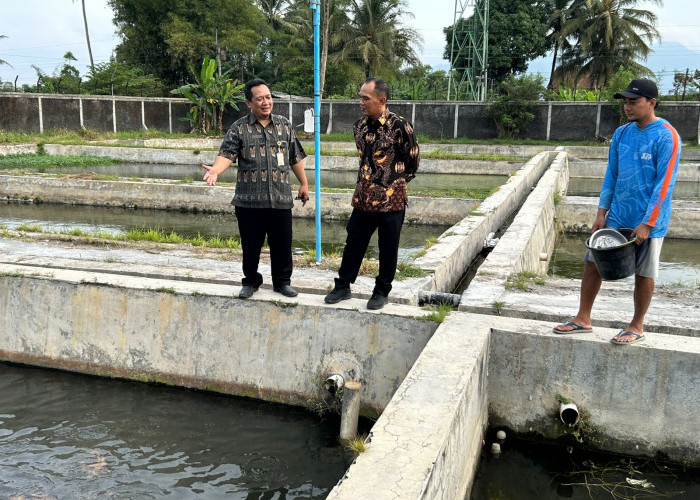 Ketua DPRD Jateng Dorong Budidaya Ikan Beong