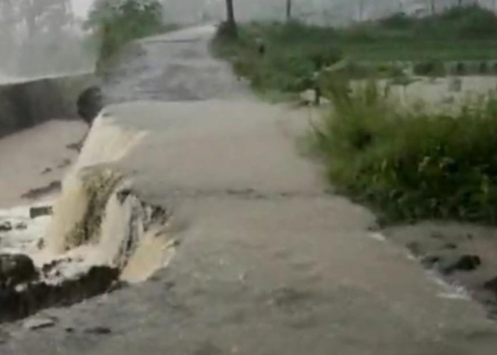BREAKING NEWS! Tanggul Penyangga Jalan Jebol, Akses Penghubung 3 Desa di Brebes Terputus