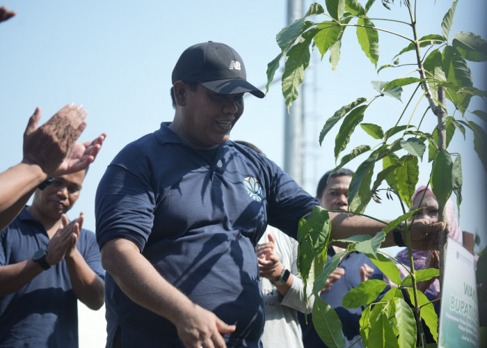 Gerakan Satu Rumah Satu Pohon Diluncurkan di Kabupaten Tegal, 300 Tabebuya Ditanam di GOR Trisanja