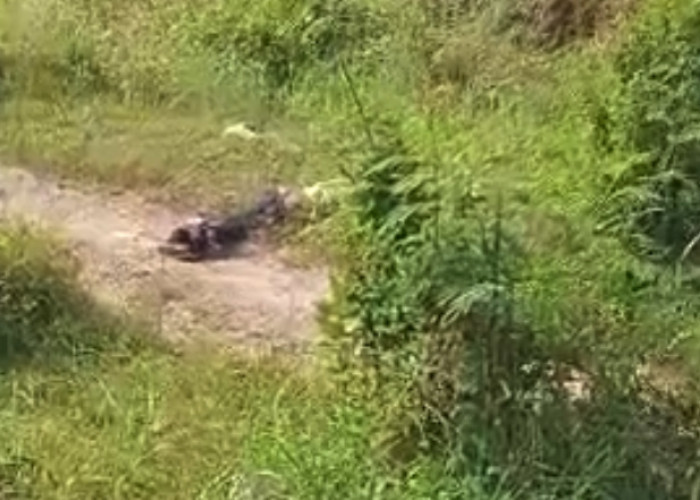 Ngaku Anggota Polisi, Begal di Brebes Babak Belur Dihajar Korban