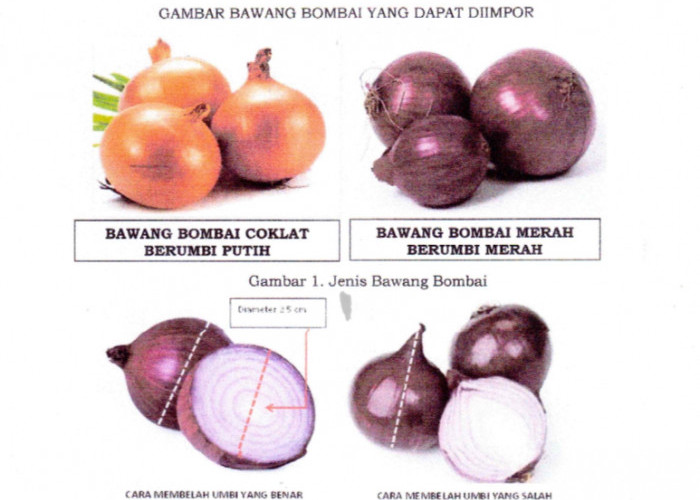 Bawang Bombai Mini Dilarang Beredar di Brebes, Ini Sebabnya