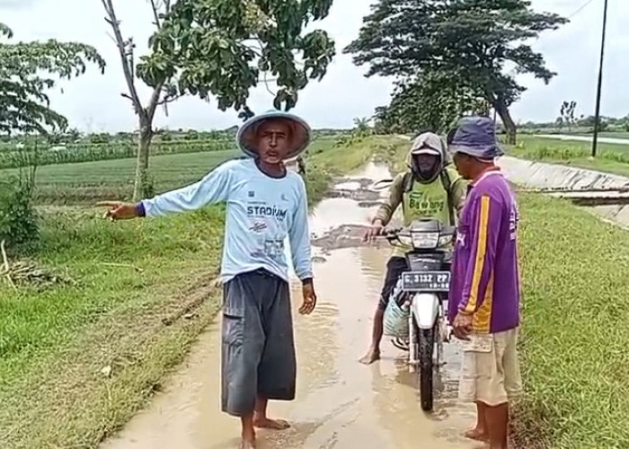 Jalan Penghubung Antar Desa di Brebes Rusak, Warga Sambat Bupati