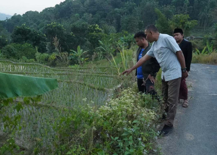 Jalan Sumbaga–Carul Longsor, Bupati Tegal Siapkan Rp400 Juta dari APBD Perubahan 2026