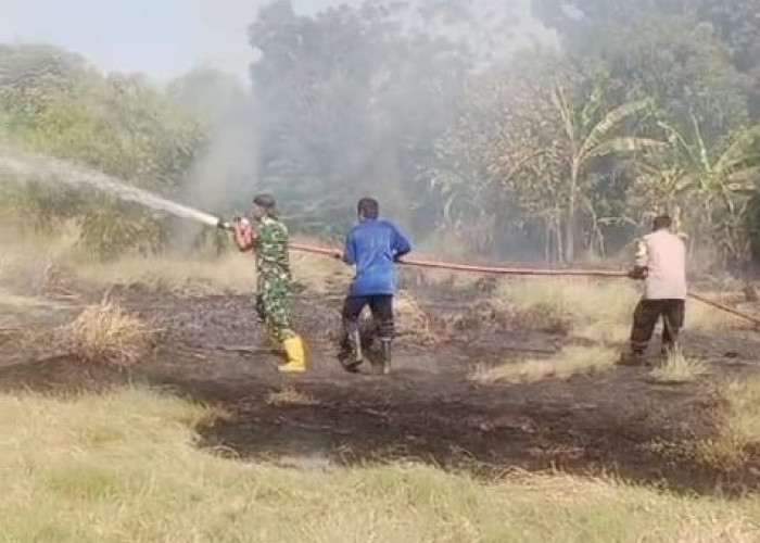 Nyaris Merembet ke Rumah Warga, Kebakaran di Kota Tegal Diduga Karena Aksi Bakar Sampah