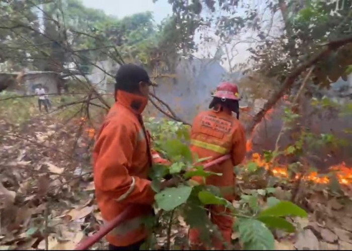 Sehari 2 Kebakaran Lahan di Slawi Tegal, Nyaris Sambar GOR Trisanja