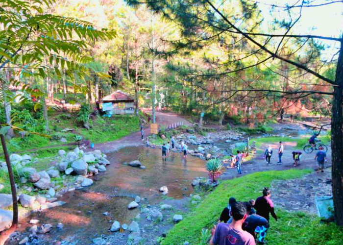 4 Rekomendasi Wisata Alam Sejuk di Jawa Timur yang Suasananya Ampuh Segarkan Pikiran!