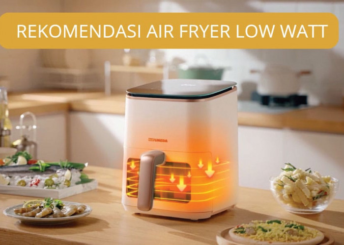 6 Rekomendasi Air Fryer Low Watt Terbaik, Listrik Hemat Masakan Terasa Lezat