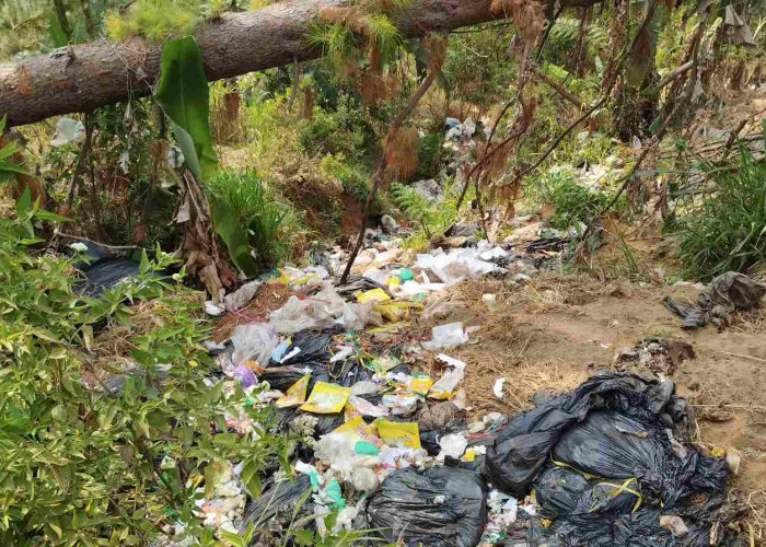 Temuan Sampah SPPG di Hutan Brebes, DLHPS Langsung Turun Tangan