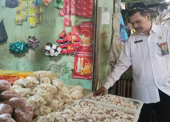 Harga Bawang Putih di Brebes Mulai Naik, Kenaikan Capai Rp2.000