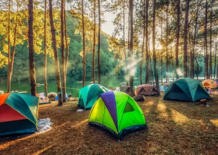 Mau Healing Seru? Ini Lokasi Camping di Dekat Semarang yang Pemandangannya Indah!