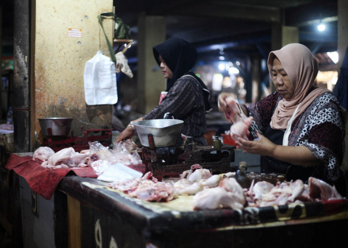 Pantauan Harga Pangan Tegal: Daging Ayam dan Telur Naik Imbas MBG