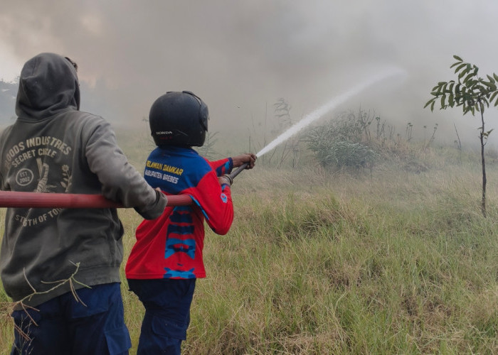 Kebakaran Lahan Seluas 5 Hektare Terjadi di Bulakamba Brebes, Diduga Gara-gara Pembakaran Sampah