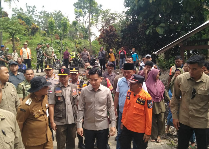 Wapres Gibran Tinjau Bencana Tanah Gerak Tegal, Perintahkan Relokasi Warga Padasari Dipercepat