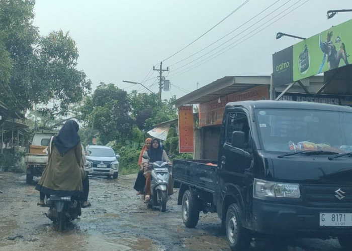 480 Kilometer Jalan Kabupaten di Brebes dalam Kondisi Rusak