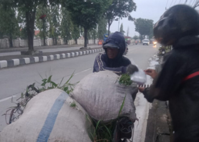 Komunitas di Brebes Bagi 500 Nasi Kotak untuk Buka Puasa di Tengah Arus Mudik 2026 
