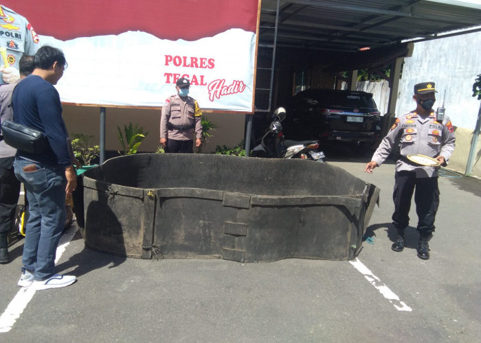 Grebek Tempat Judi Sabung Ayam di Kalisapu Tegal, Polisi Amankan 3 Ekor Jago dan Satu Jam Dinding
