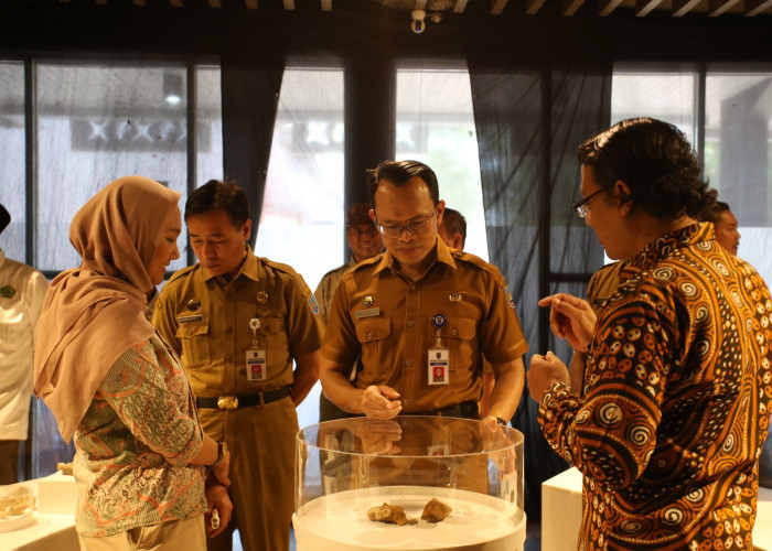 Belajar Sejarah, Pameran Gigantopithecus Diserbu Ribuan Pelajar dari 31 SD di Kabupaten Tegal 