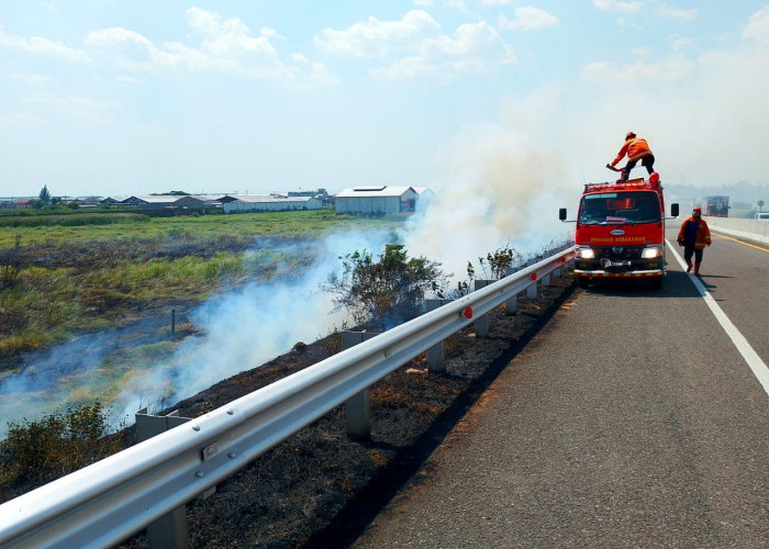 Rumput Ilalang di Pinggir Tol Pejagan-Pemalang Terbakar, Asap Tebal Ganggu Jarak Pandang Kendaraan