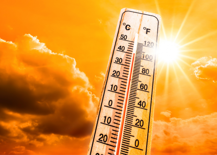 Waspada Heat Wave, Kamu Wajib Tahu Penyakit Akibat Gelombang Panas dan Cara Mengatasinya