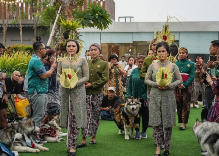 Viral Pernikahan Anjing dengan Adat Jawa, Staf Khusus Kepresidenan Banjir Kritikan 