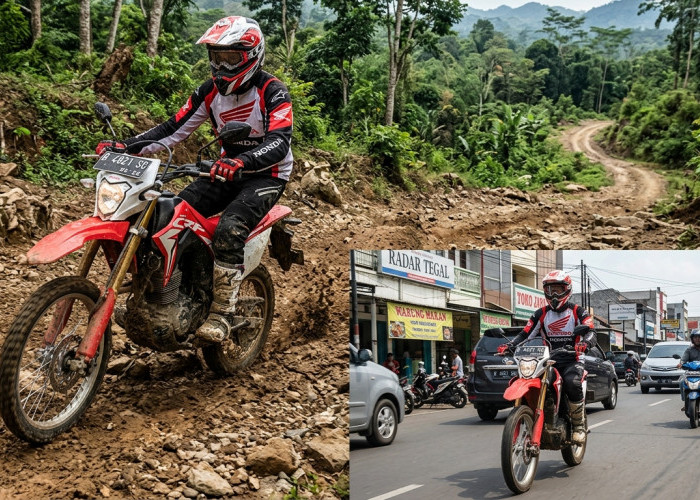 Keunggulan Honda CRF150L Pilihan Utama Pecinta Trabas dan Pengguna Harian di Jalur Ekstrem