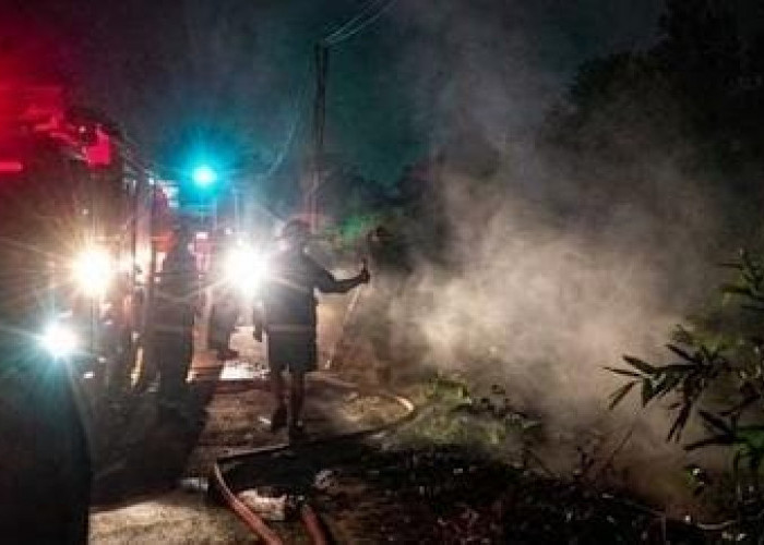 Kebakaran Lahan di Sidakaton Tegal, Kabel WiFi Ludes Terbakar